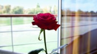 Weihnachten auf der A-ROSA Kreuzfahrt