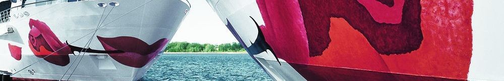 A-ROSA Platinpartner Special<br> zum Sonderpreis