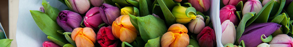 Ostern 2027 <br/> mit A-ROSA buchen